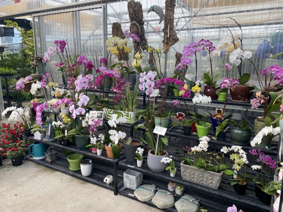 Orange Park Tour0008