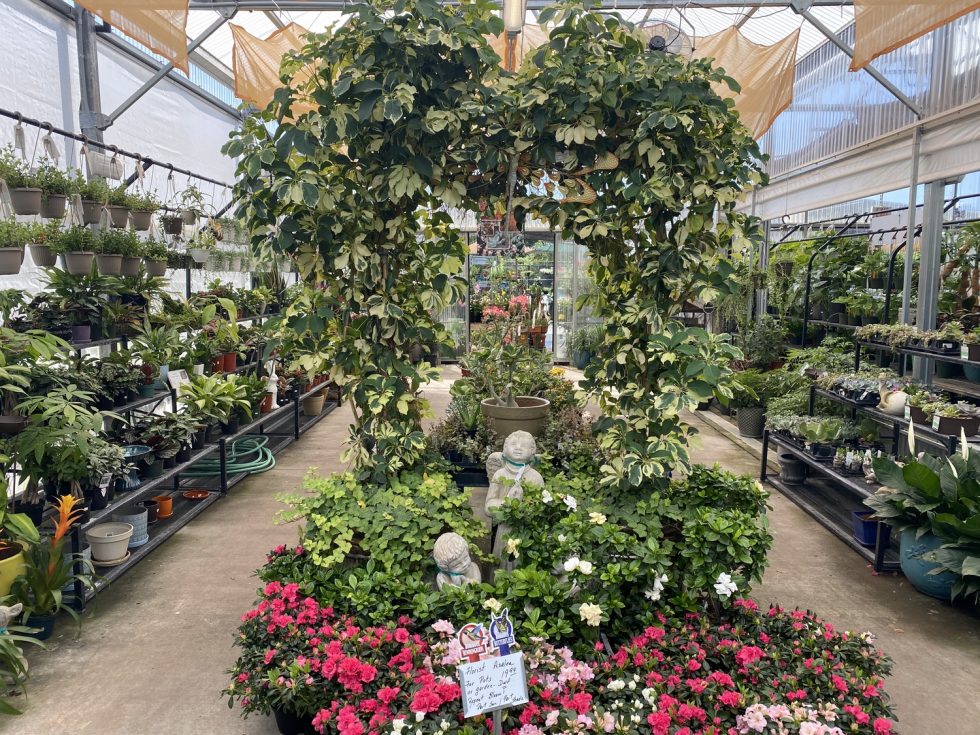 Orange Park Tour0009