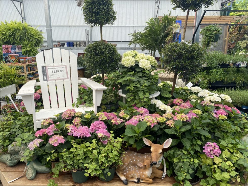 Orange Park Tour0010