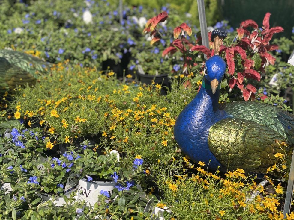 Orange Park Tour0012