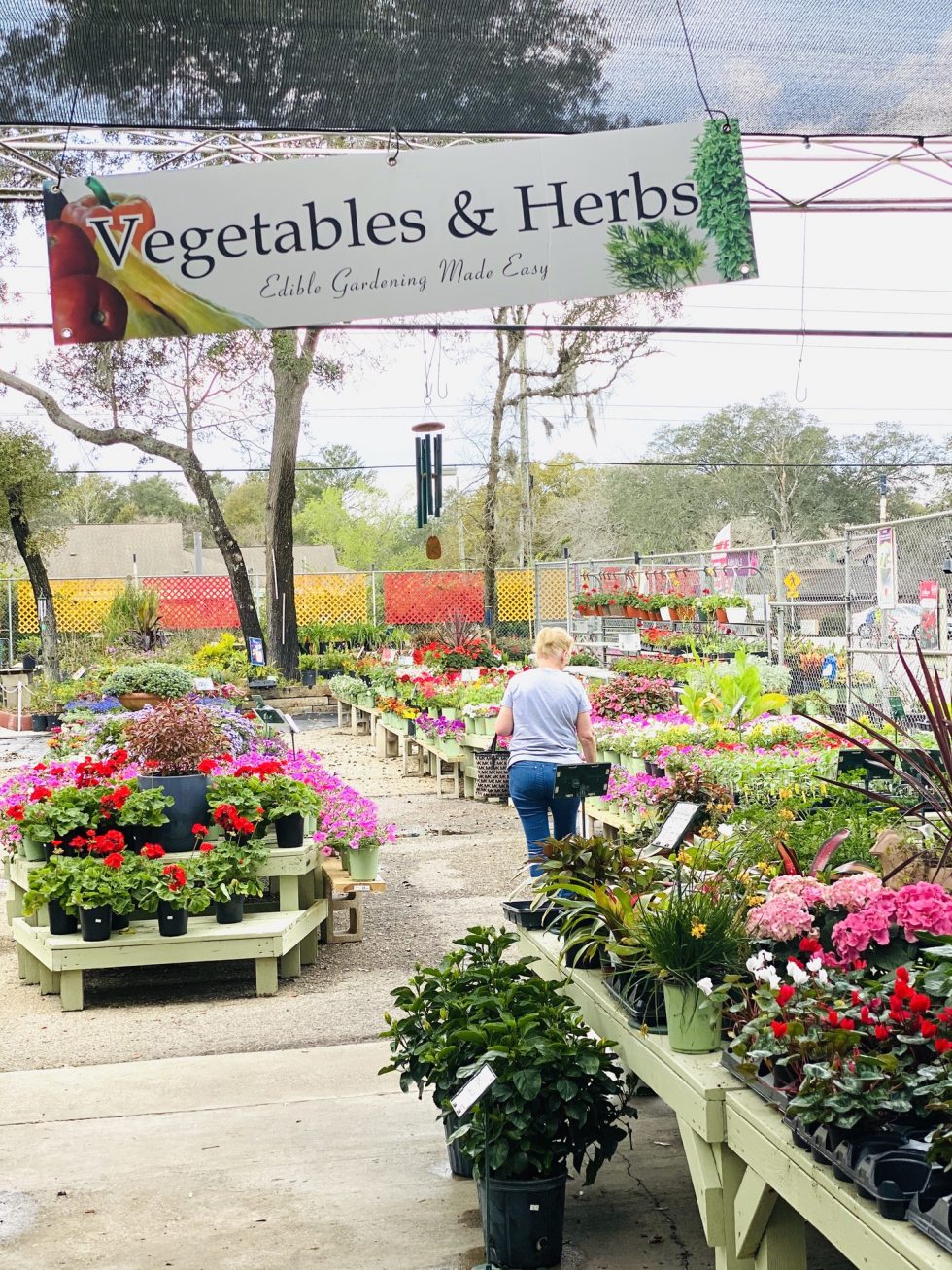 St. Augustine Tour0014