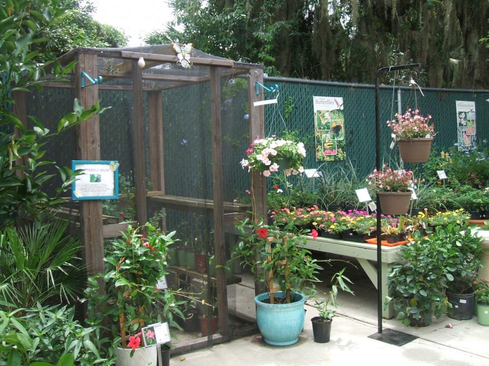 butterfly habitat