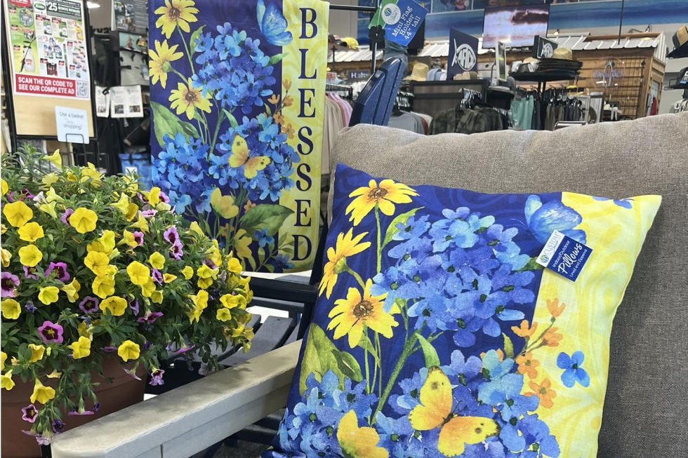 483603214 122165330390327788 7104877341341396616 n