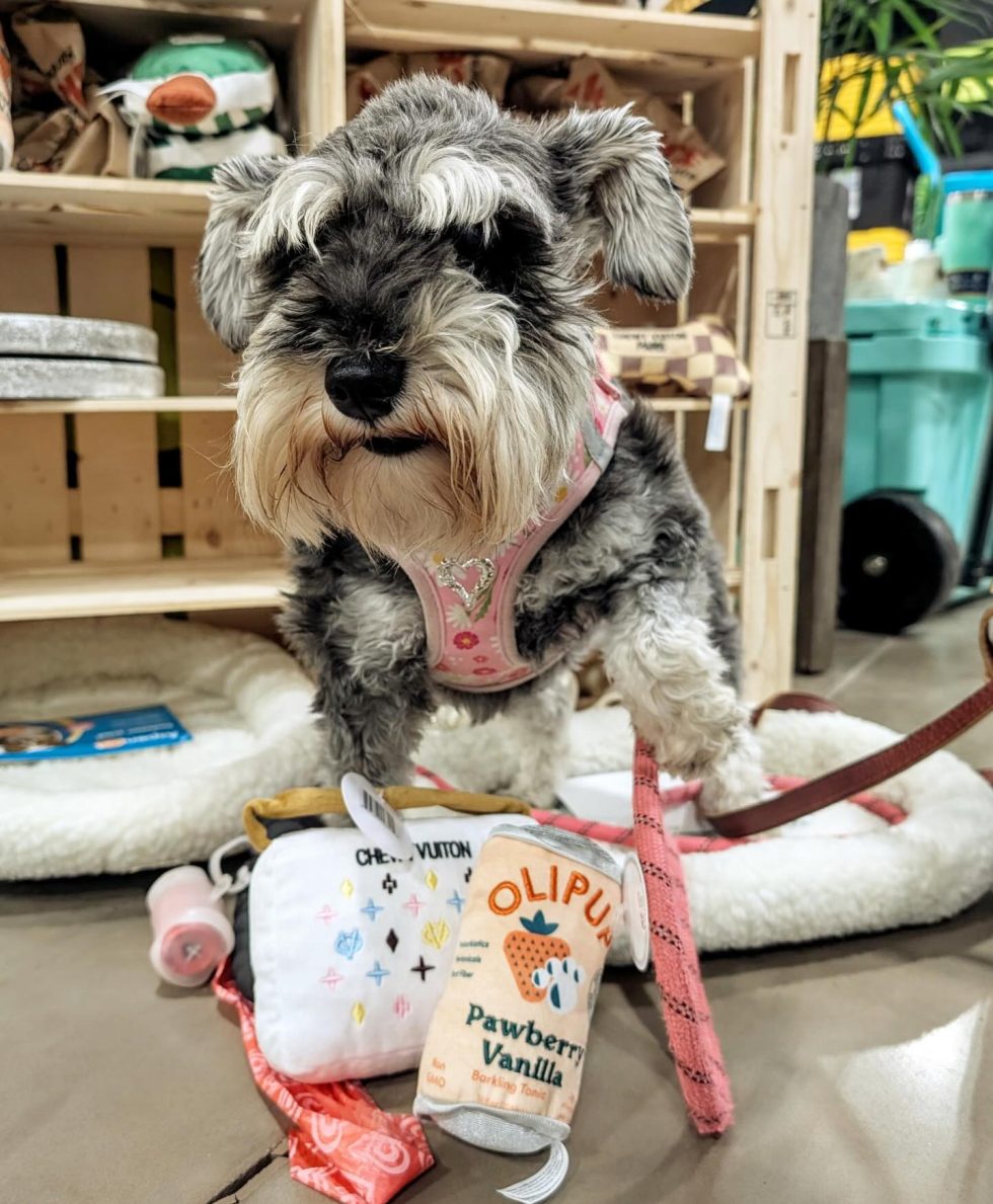 484822089 17883255753246359 2815601135674844000 n