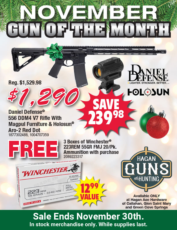 hagan gun november 2025