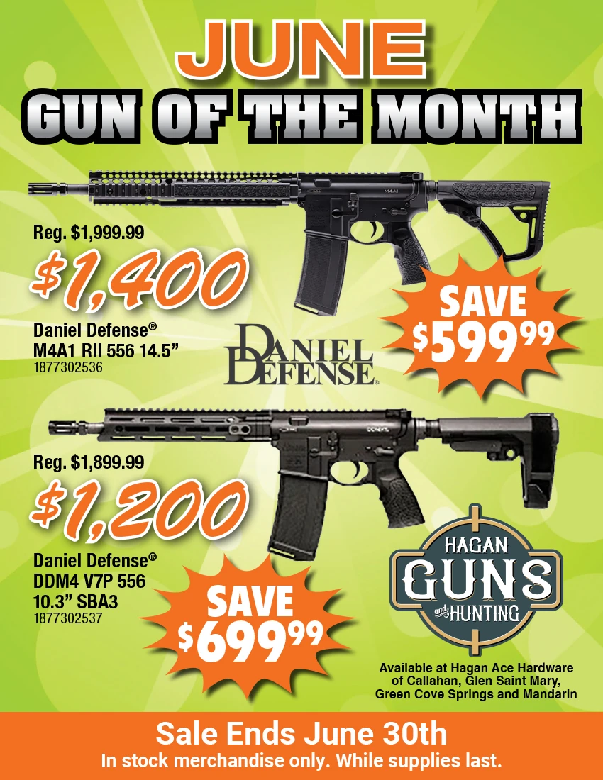 172434 hagan gun june 2026 172434 hagan gun june 2026